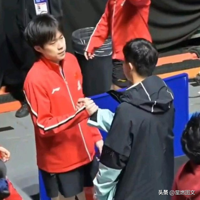 国乒男团3-0横扫澳大利亚 王楚钦单挑萨琳展现绝